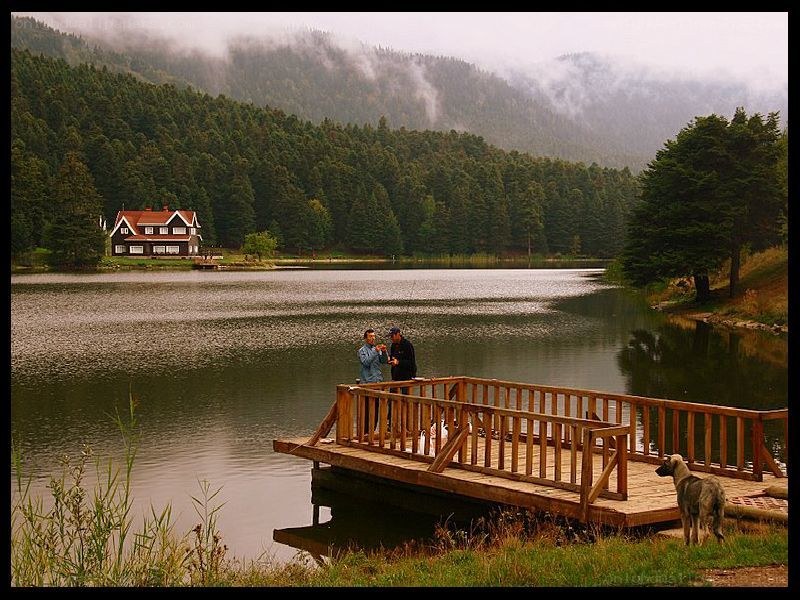 Couple fishing on a lake dock