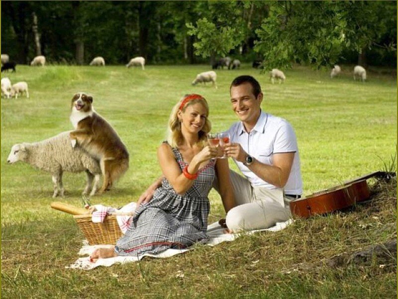 Couple Having Picnic
