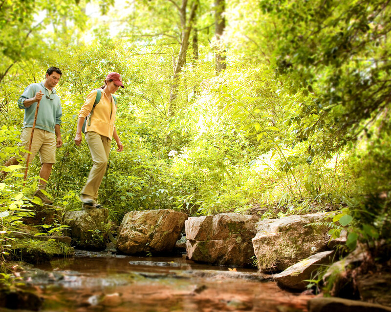 Couple Hiking in Forest