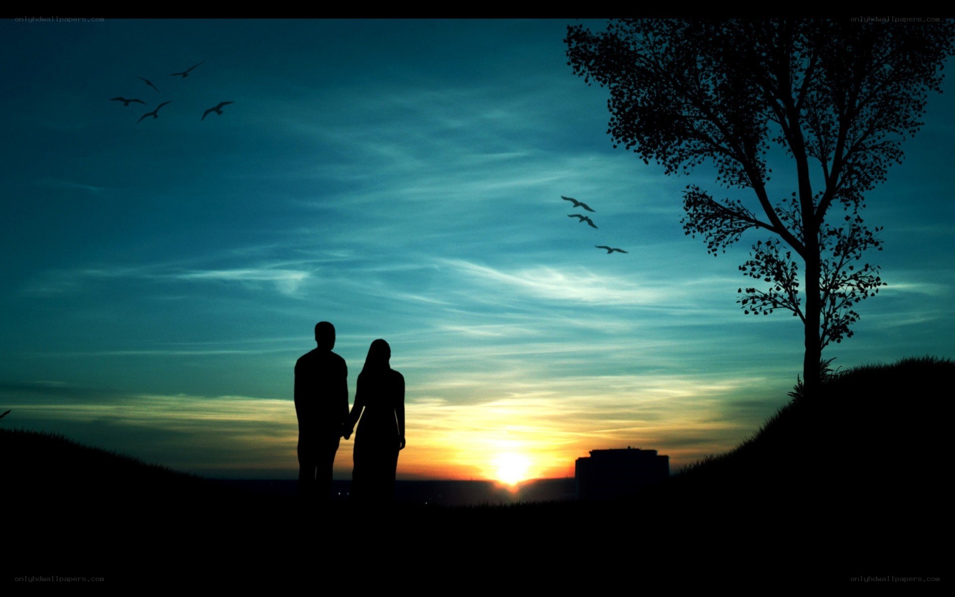 Couple holding hands at sunset