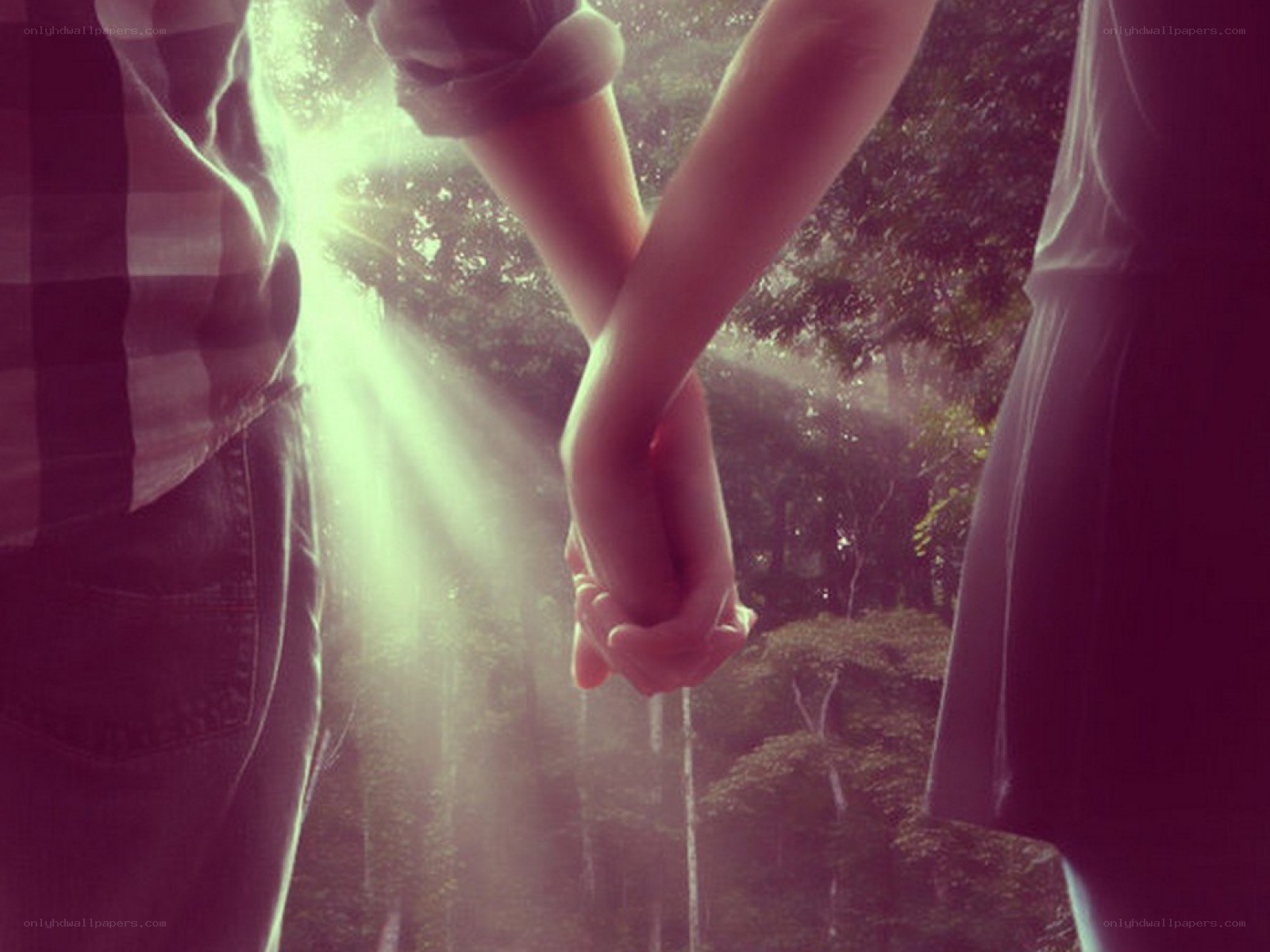 couple holding hands in sunlight