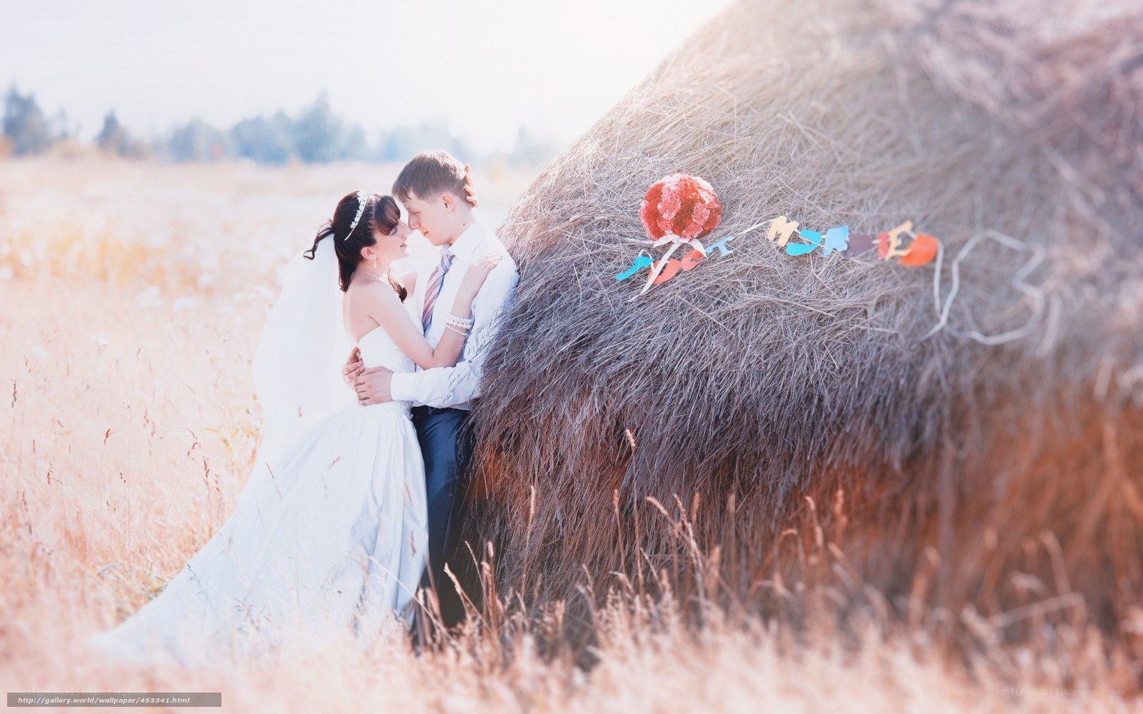 Couple in a field with hay bale
