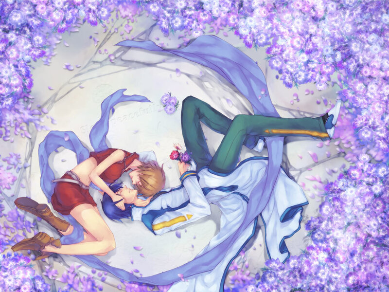 Couple in a flower field