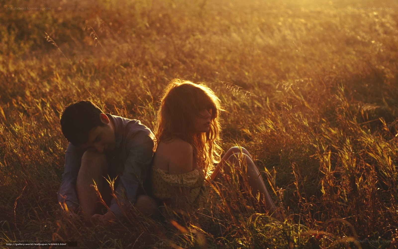 Couple in a golden field