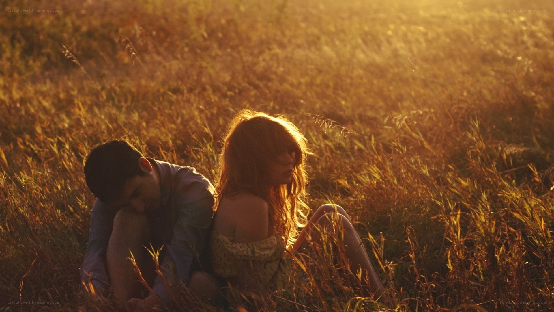 Couple in a golden field