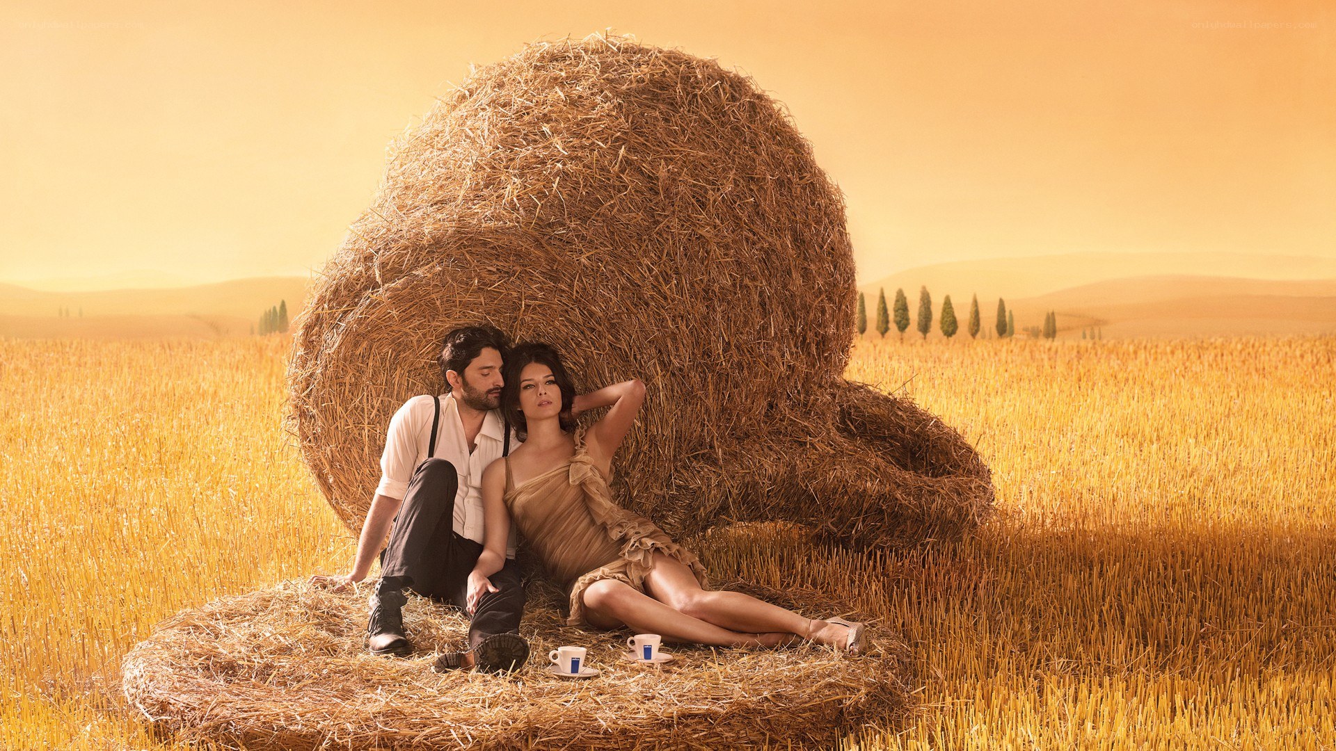 Couple in a hayfield