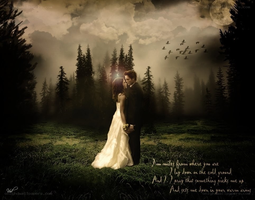 Couple in a misty forest