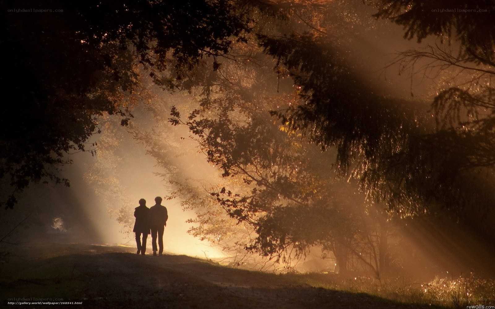 Couple in a misty forest