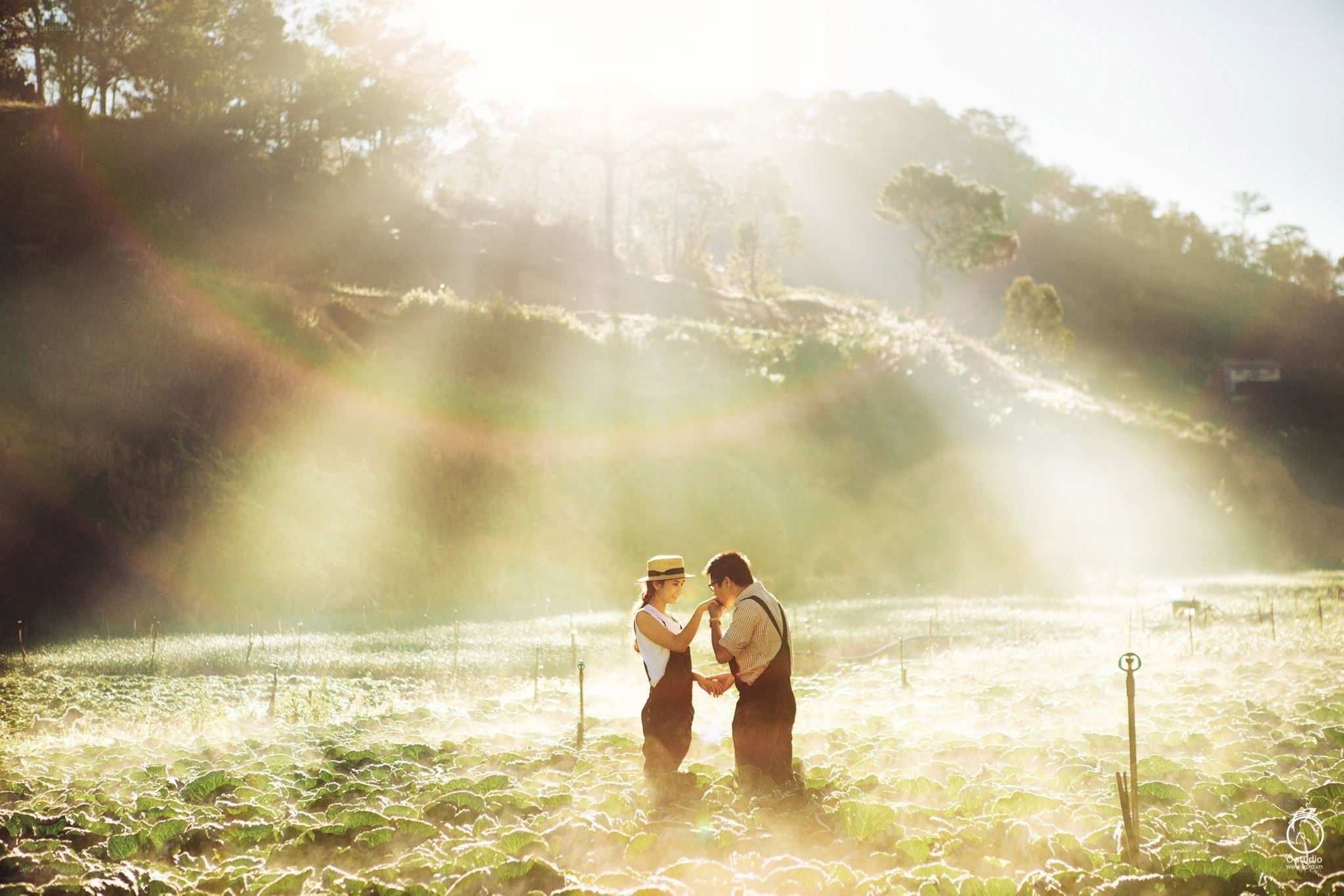 Couple in a sunlit field
