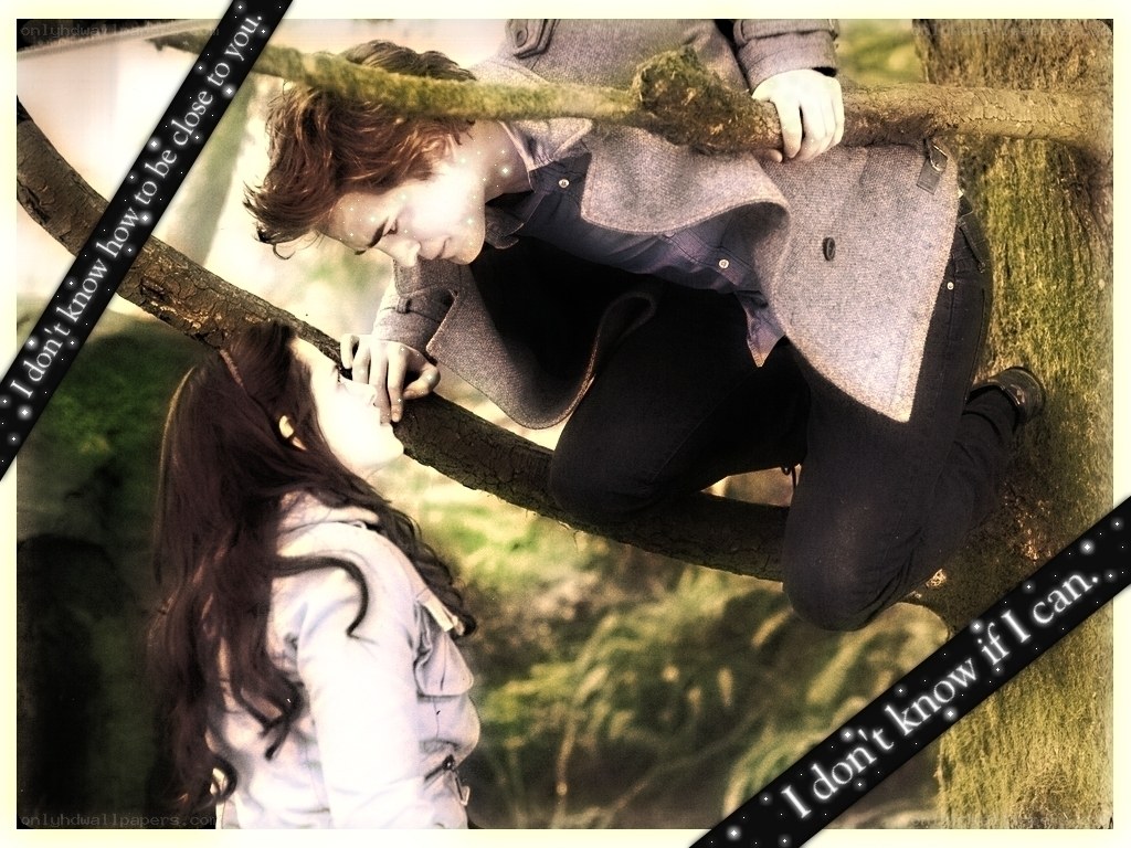 couple in a tree