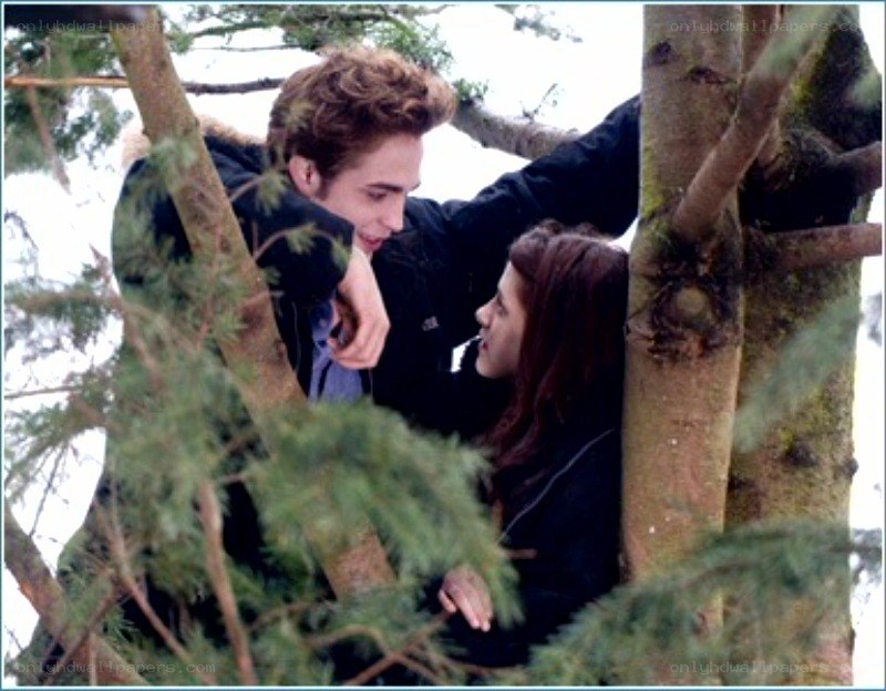 couple in a tree