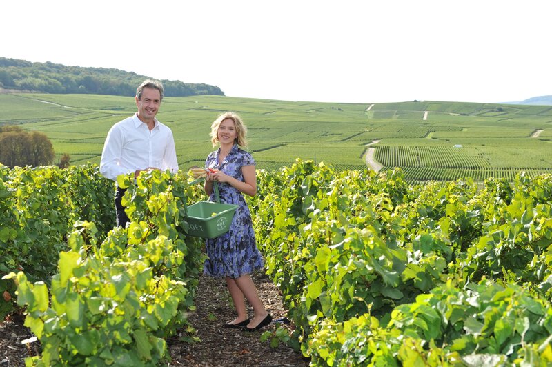 Couple in a vineyard