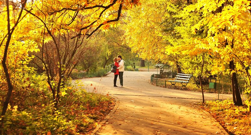 Couple in autumn park