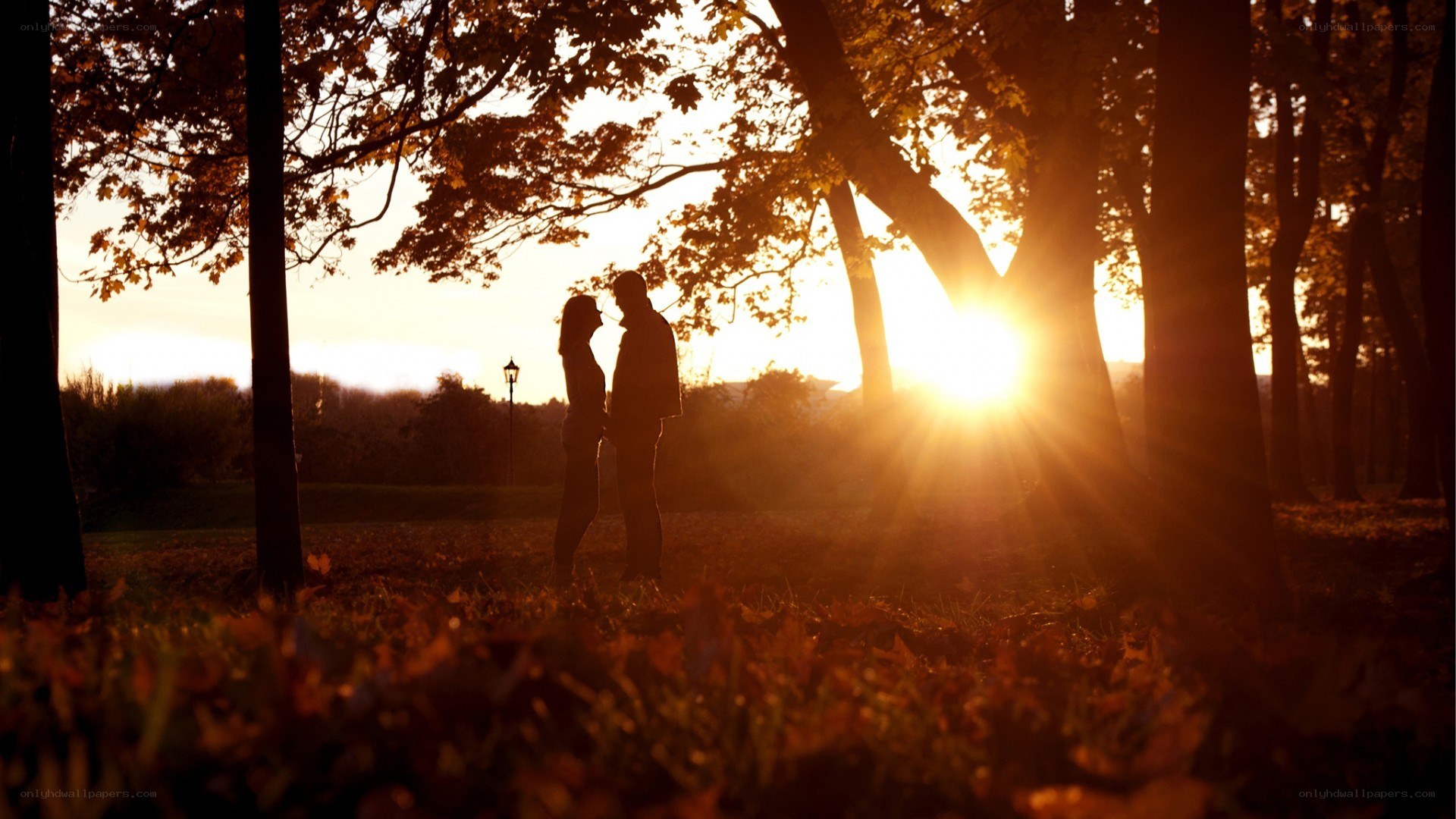 Couple in autumn sunset