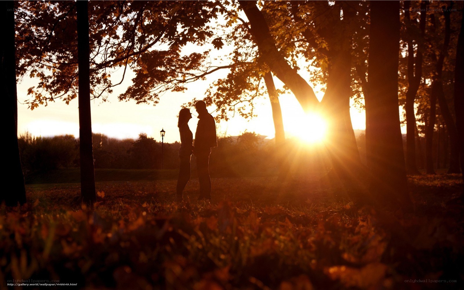 Couple in autumn sunset