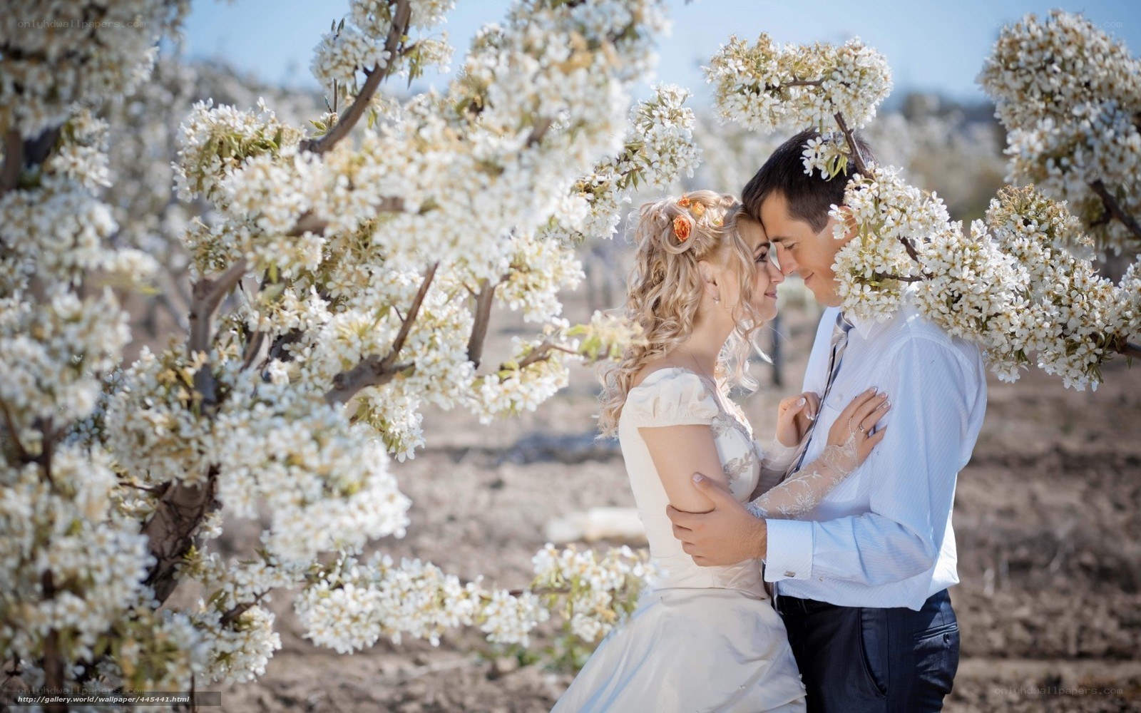 Couple in blooming orchard