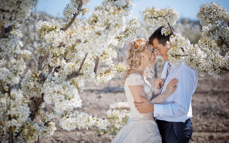 Couple in Blossoming Orchard