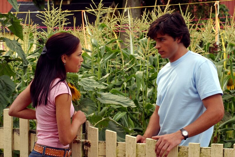 couple in cornfield