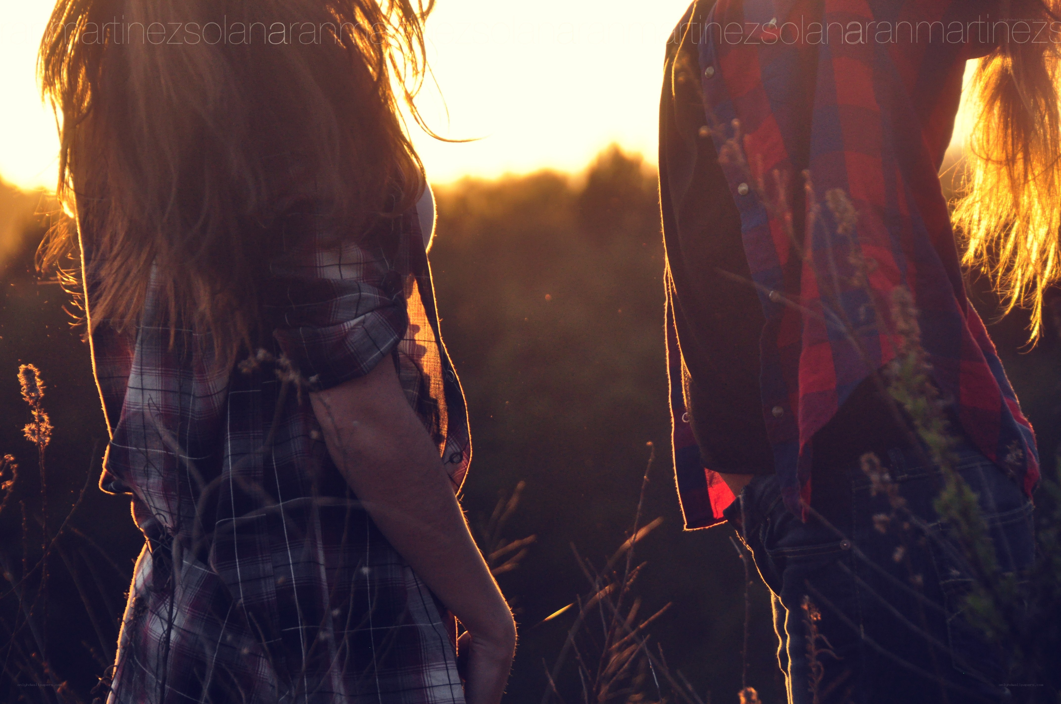 couple in field at sunset