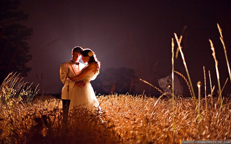 Couple in Field — Brown, Romantic