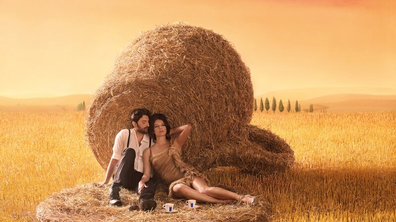 Couple in Field — Yellow, Serene, Sunset