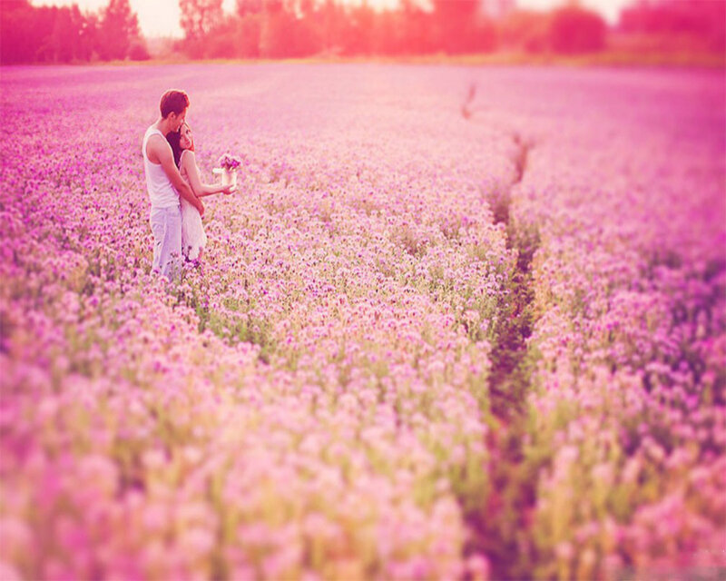 Couple in Flower Field — Pink, Romantic, Sunset