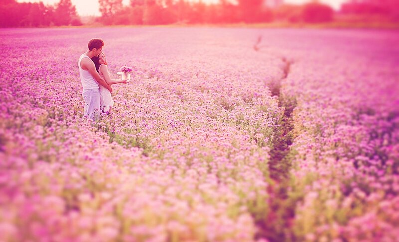 Couple in Flower Field — Pink, Romantic