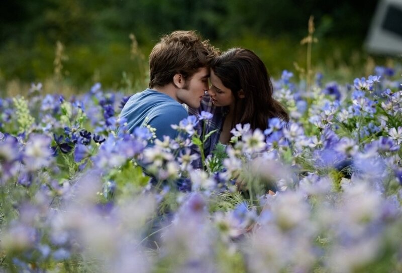 Couple in Flower Field — Purple, Romantic