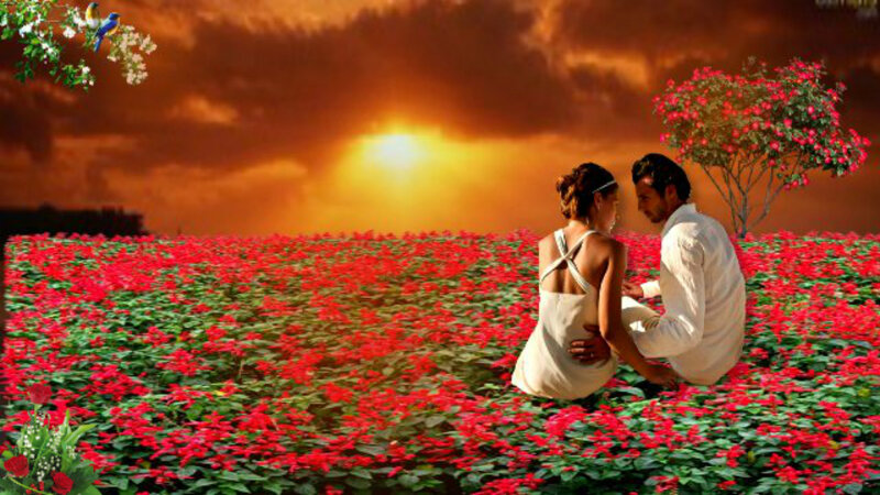Couple in Flower Field — Red