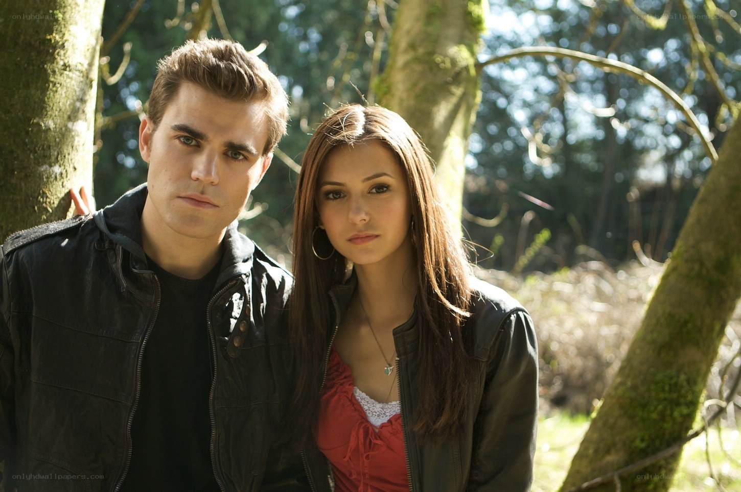 couple in forest scene