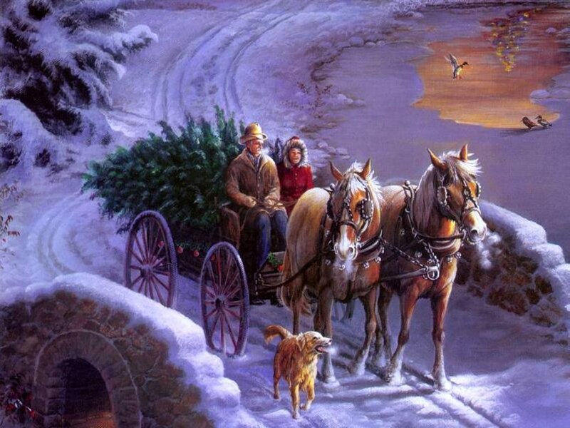 Couple in Horse-drawn Carriage