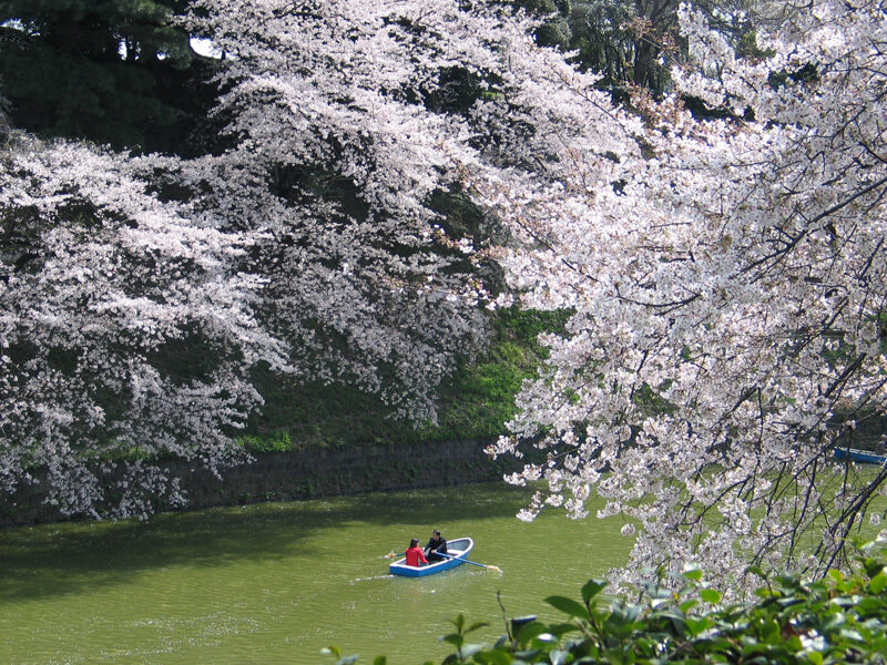 Couple in Rowboat