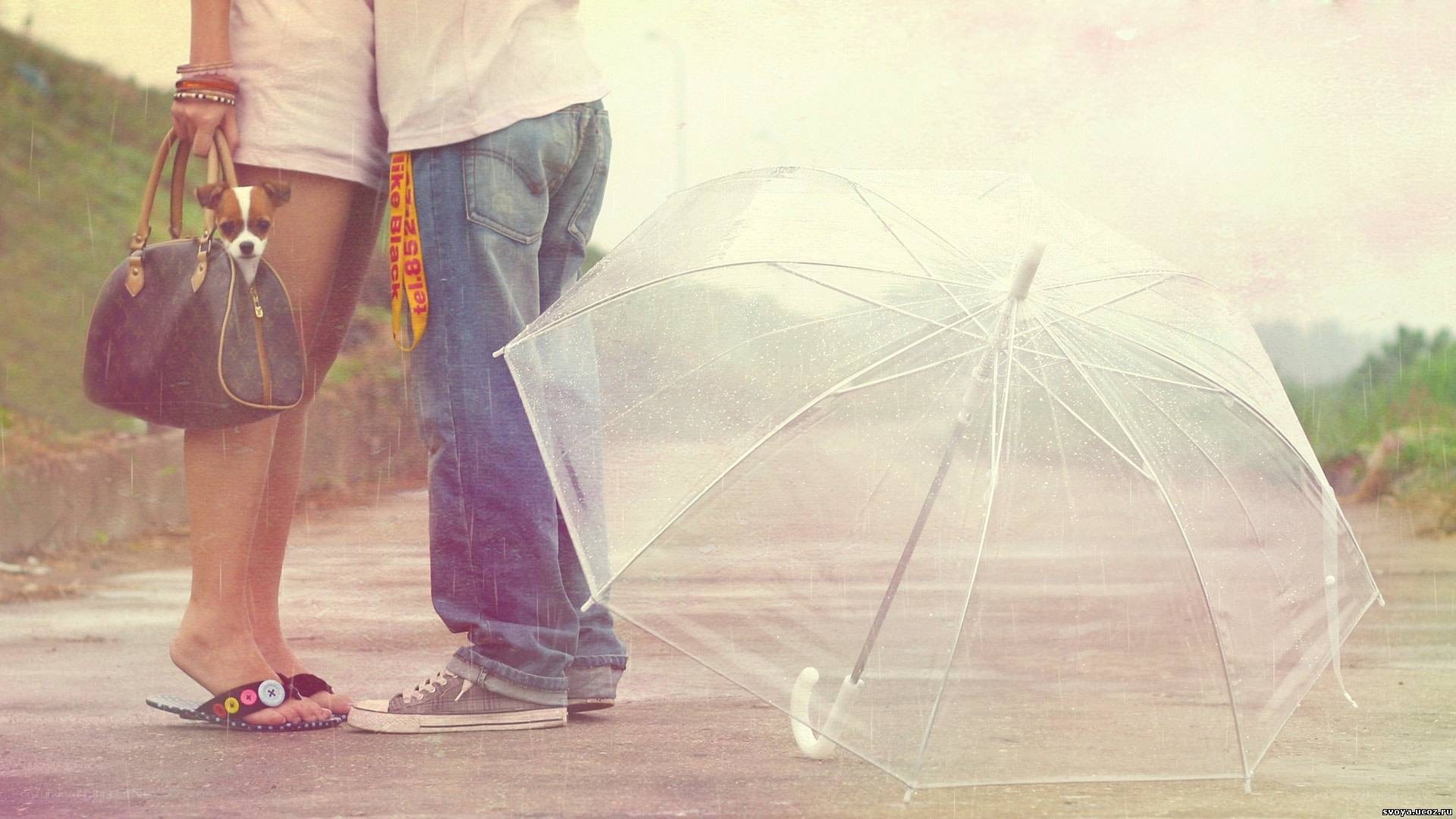 Couple in the rain with dog