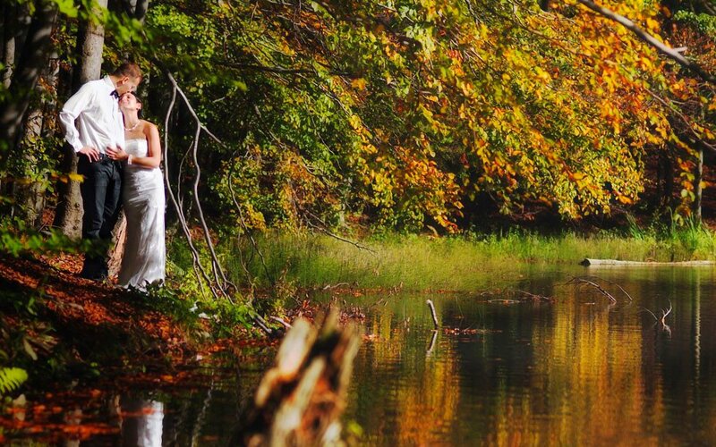 Couple in Wedding Attire — Green, Serene