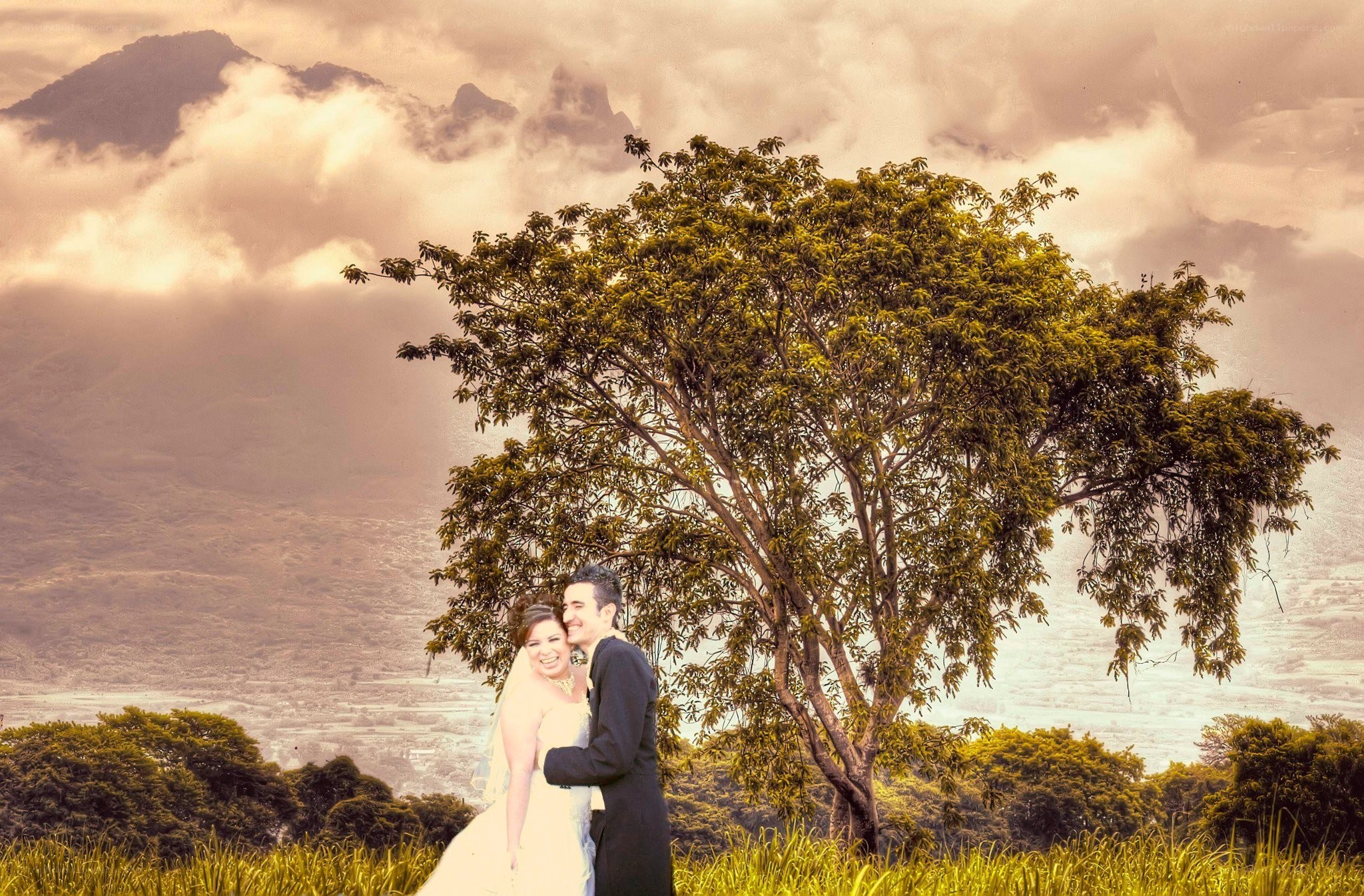 Couple in wedding attire under a tree