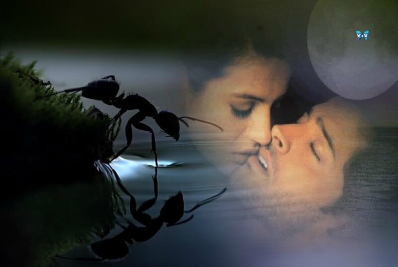 Couple Kissing at Night — Black, Dreamy