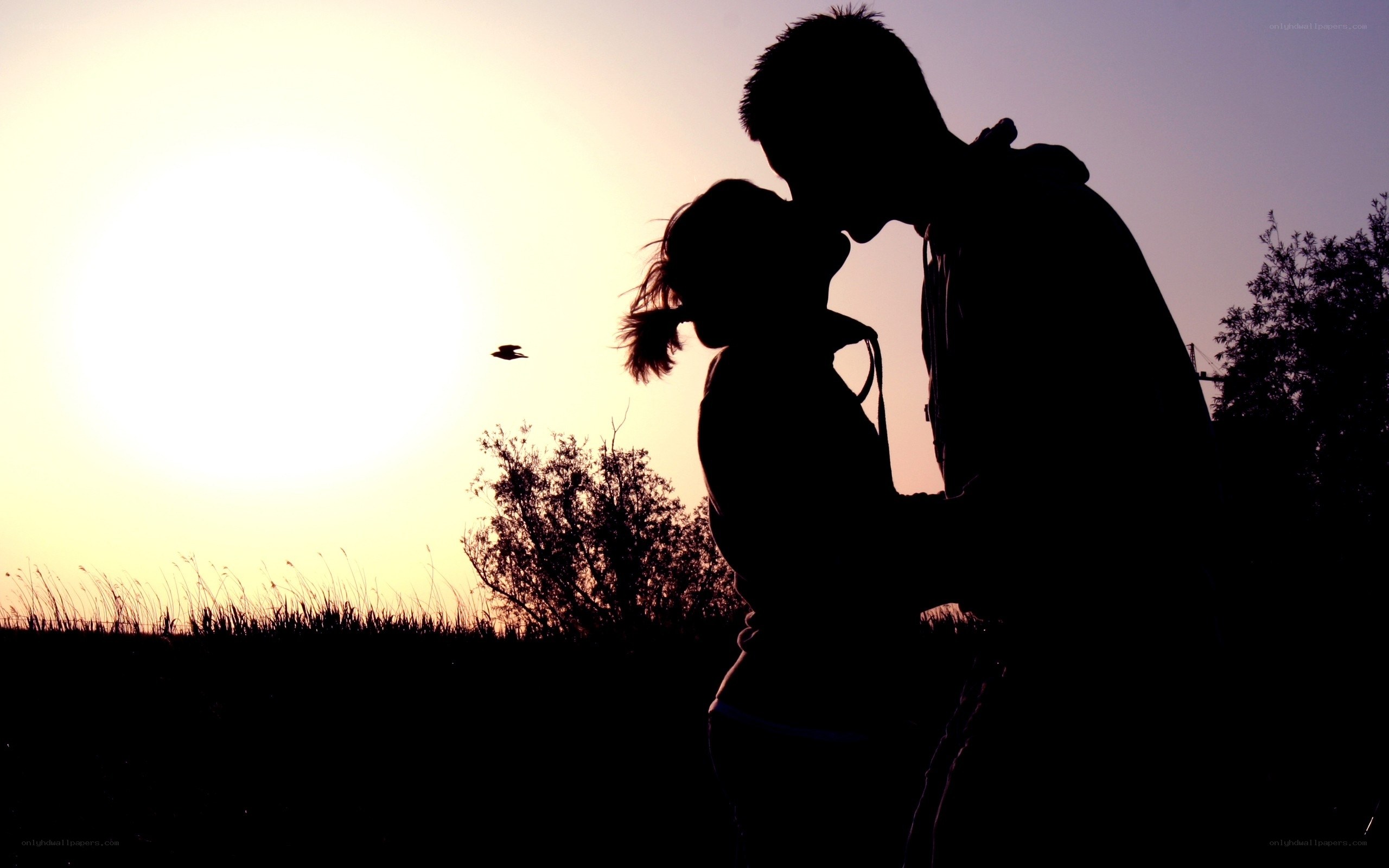 Couple kissing at sunset