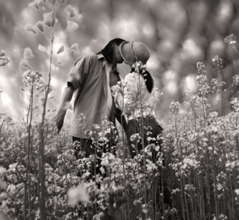 couple kissing in a flower field