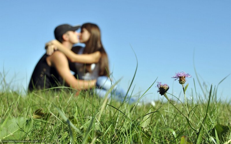 Couple Kissing in Grass — Green, Serene