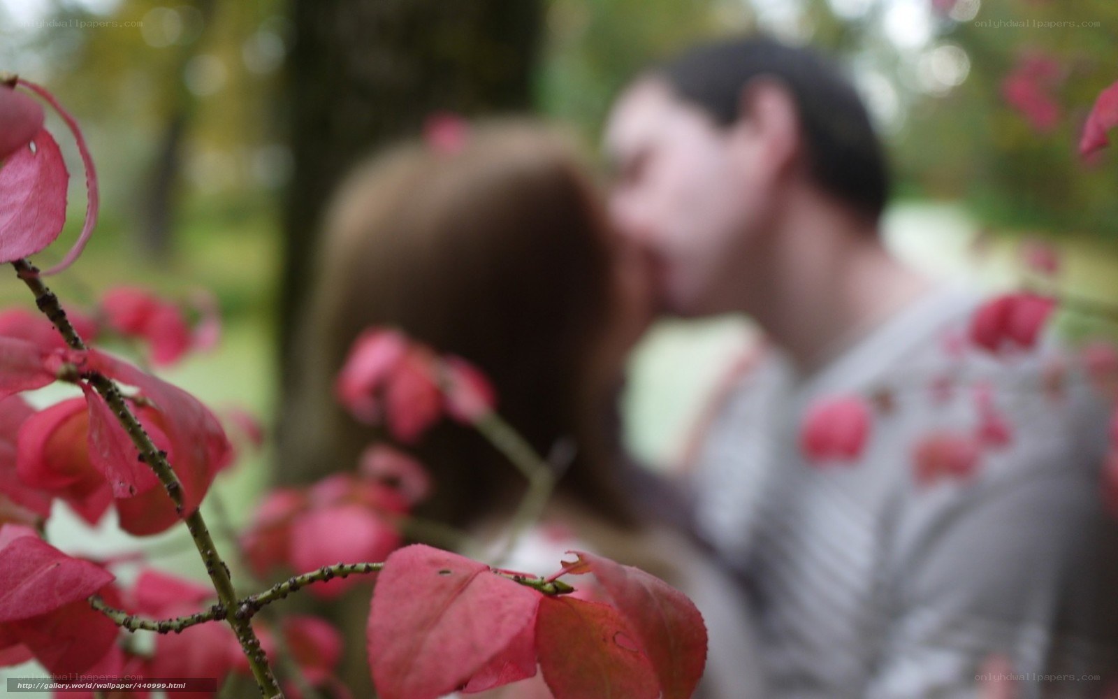 Couple kissing in park