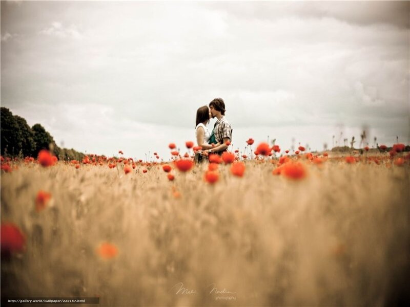 Couple kissing in poppy field