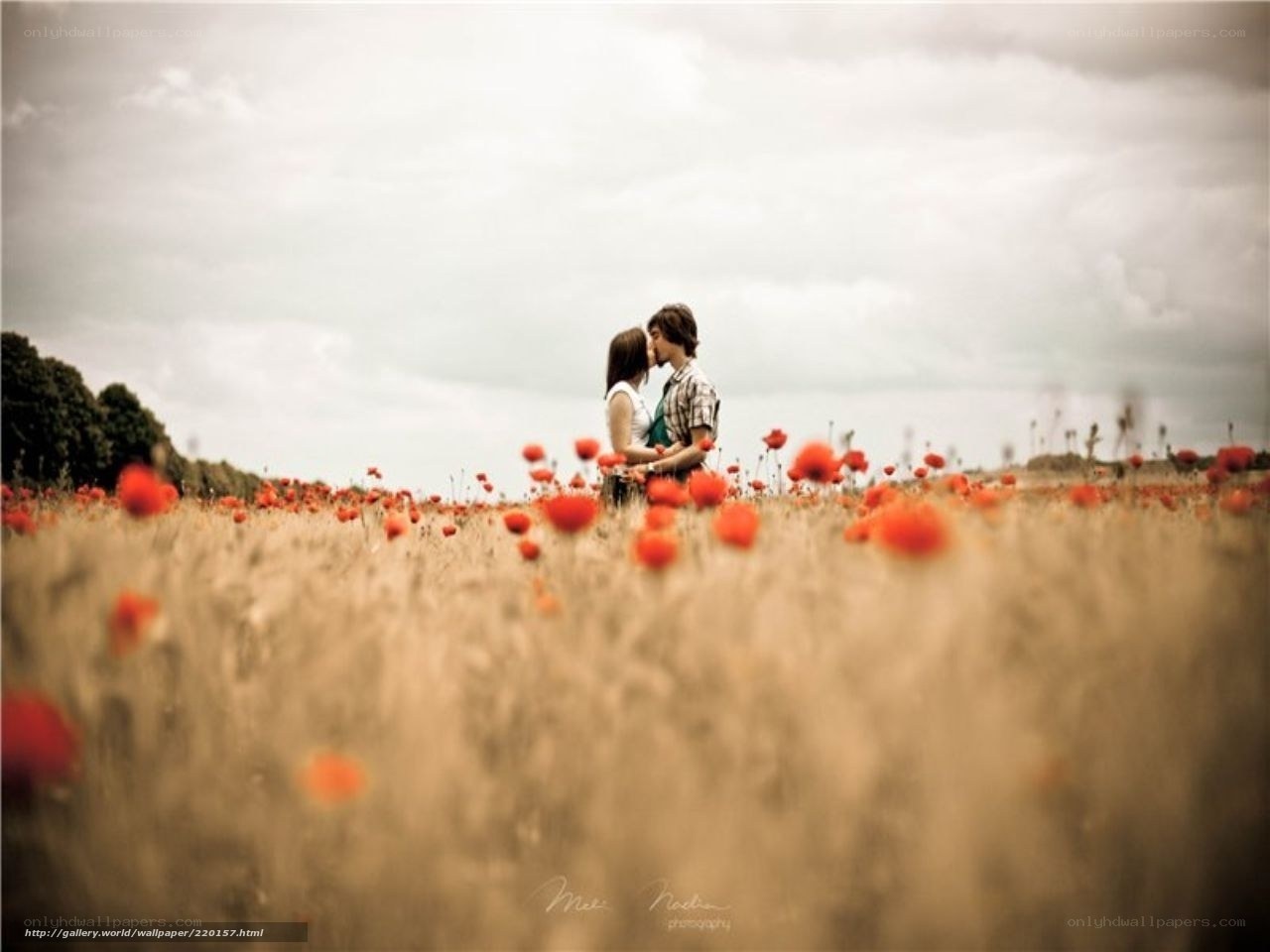 Couple kissing in poppy field
