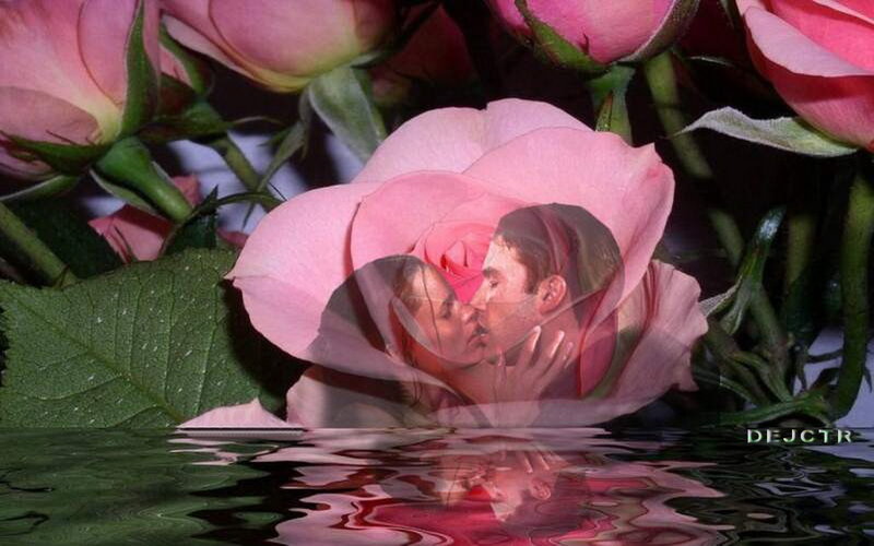 Couple Kissing in Rose