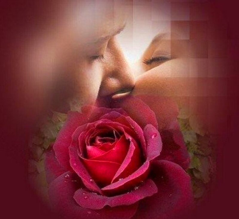 Couple Kissing Near Rose