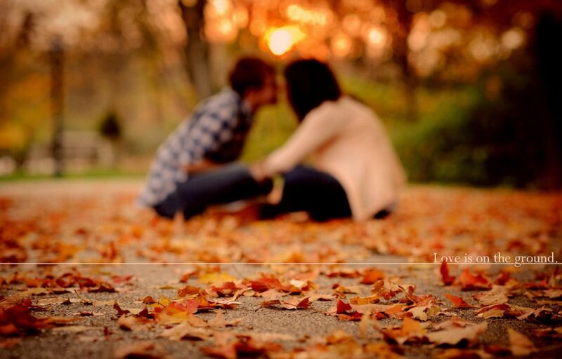 Couple Kissing on Leaves