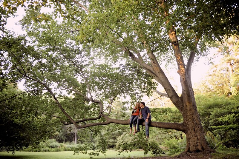 Couple Kissing on Tree Branch