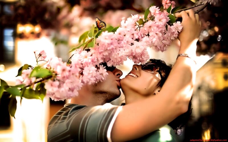 Couple Kissing under Blossoms — Pink