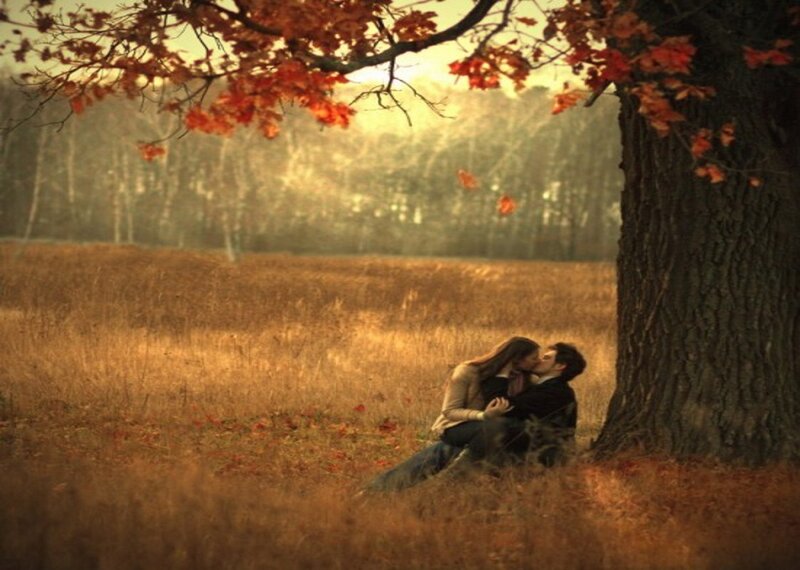 Couple Kissing under Tree — Brown, Romantic, Autumn