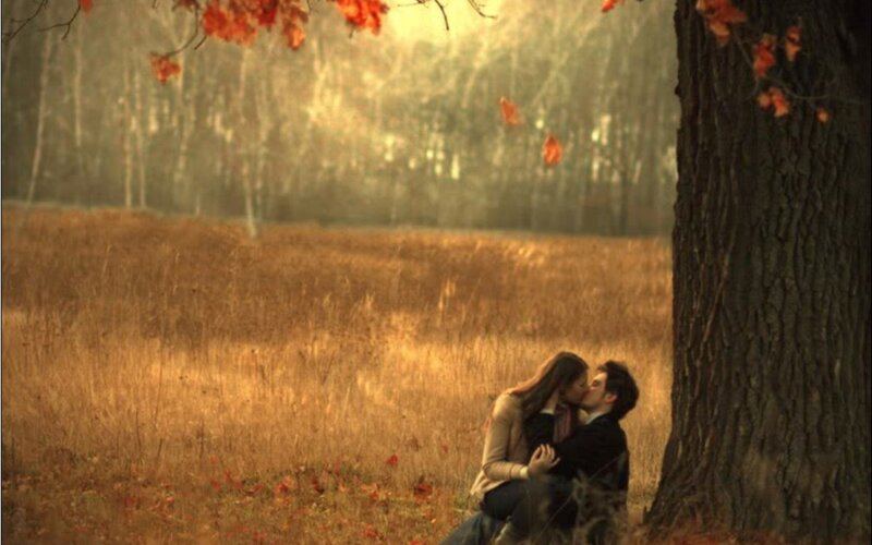 Couple Kissing under Tree — Brown, Romantic