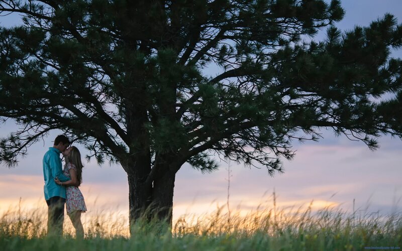 Couple Kissing under Tree — Green, Romantic, Sunset